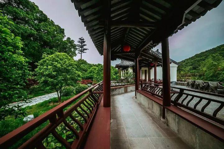 39岁网络技术员入住养老院引起大家关注,他为何会住养老院?- 专业有问必答 平台