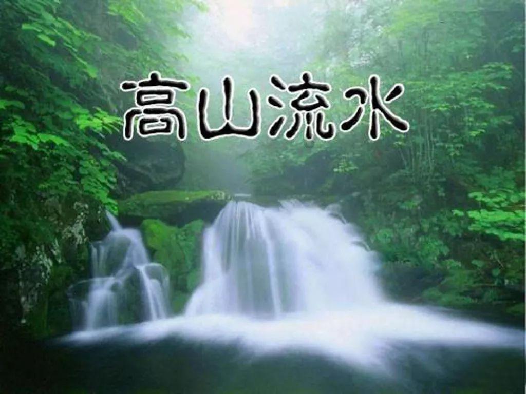 创作猫